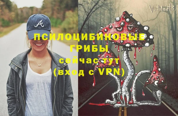 мескалин Пестово