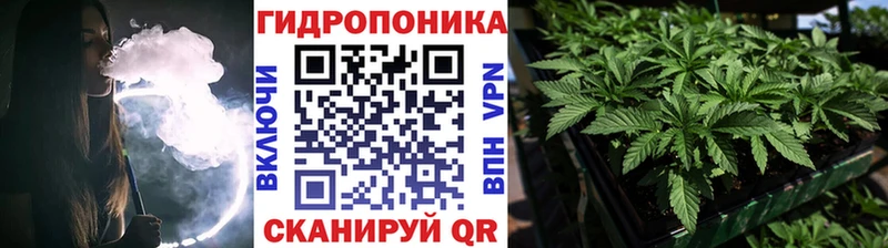 Бошки Шишки гибрид  как найти   Павлово 